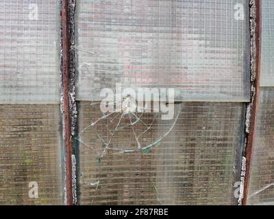 verre brisé en forme de pare-brise en forme de balle véritable Banque D'Images