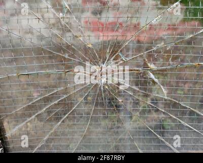 verre brisé en forme de pare-brise en forme de balle véritable Banque D'Images