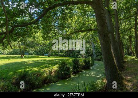 Jardin paysager et parc du château de Lütetsburg Château, Lütetsburg, Basse-Saxe, Allemagne, Europe Banque D'Images