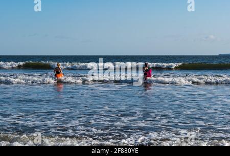 Deux femmes nageurs en eau libre ou sauvage en maillots de bain avec flotteurs entrent dans la mer par un jour ensoleillé, Firth of Forth, Écosse, Royaume-Uni Banque D'Images