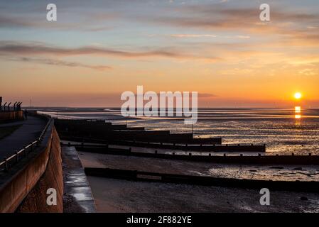 Défenses marines au lever du soleil. Sentier côtier au-dessus de la plage à Gunners Park, Shoeburyness, Essex, Royaume-Uni, avec brise-lames à marée basse. Ciel de l'aube Banque D'Images