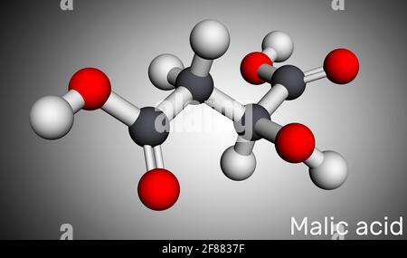 La molécule d'acide malique C4H6O5 est l'acide dicarboxylique. Modèle moléculaire. Rendu 3D. Illustration 3D Banque D'Images