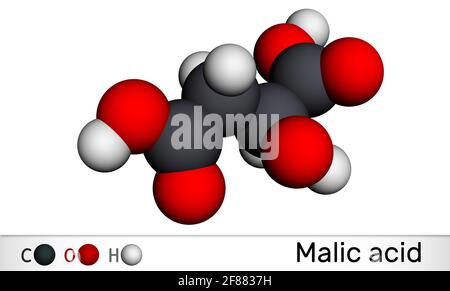 La molécule d'acide malique C4H6O5 est l'acide dicarboxylique. Modèle moléculaire. Rendu 3D. Illustration 3D Banque D'Images