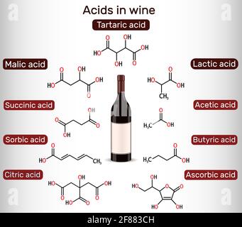 Acides dans le vin. Tartrique, malique, lactique, citrique, acétique, acide ascorbique, butyrique, sorbique, succinique. Formules chimiques du squelette. Illustration vectorielle Illustration de Vecteur