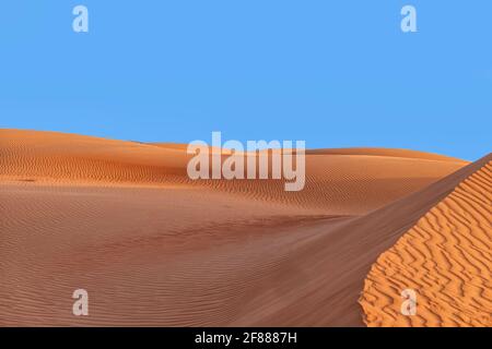 Dunes du désert de Wahabi Sands en Oman Banque D'Images