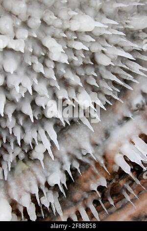 Glaces suspendues au plafond de la grotte de glace sur les îles Apôtre, Wisconsin Banque D'Images