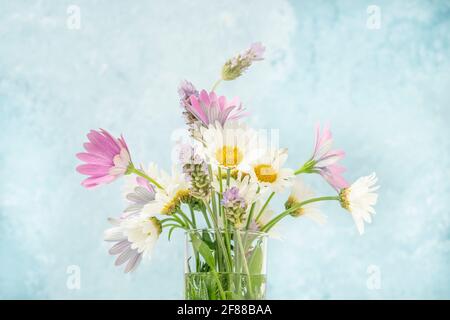 bouquet de fleurs de printemps colorées sur fond bleu avec copier l'espace Banque D'Images