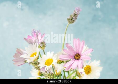bouquet de fleurs de printemps colorées sur fond bleu avec copier l'espace Banque D'Images