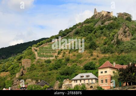 Vignoble sur une colline avec des ruines de château et un petit village Ci-dessous le long du Danube dans la campagne autrichienne Banque D'Images