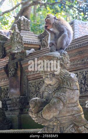 Singe macaque assis sur la statue en pierre du singe au Temple des singes à Ubud, Bali, Indonésie Banque D'Images