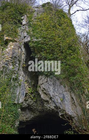 Grotte Cathole Parc le Breos Gower pays de Galles Banque D'Images