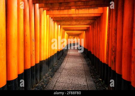 Portes Torii rouge à Fushimi Inari Shrine in Kyoto, au Japon. C'est le célèbre site touristique et destination touristique de Kyoto. Banque D'Images