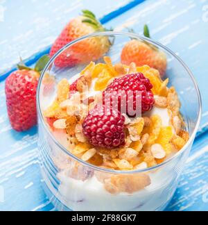 Fait de granola à la vanille maison avec fraise Banque D'Images