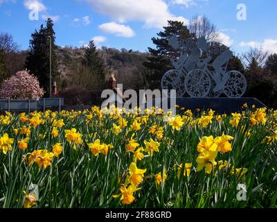 Jonquilles et cyclistes sur l'A24 près de Dorking Banque D'Images