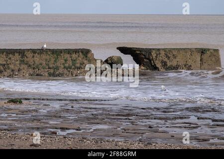 Des défenses marines brisées de Walton sur la naze, tendring, Essex, Angleterre Banque D'Images