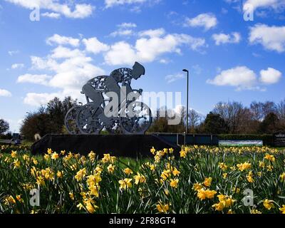 Jonquilles et cyclistes sur l'A24 près de Dorking Banque D'Images