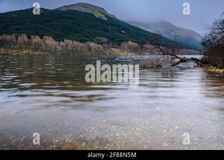 Image HDR d'un Loch Voil couvert avec un arbre tombé près de Balquhidder dans le Perthshire, en Écosse, prise en hiver 3. 22 décembre 2008 Banque D'Images