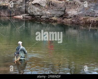 Pêche à la truite sur 'Fishing Creek', Benton, Pennsylvanie, États-Unis Banque D'Images