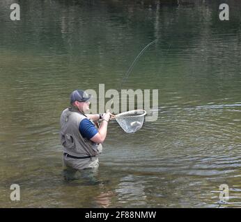 Pêche à la truite sur 'Fishing Creek', Benton, Pennsylvanie, États-Unis Banque D'Images
