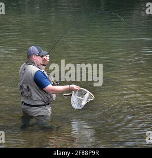 Pêche à la truite sur 'Fishing Creek', Benton, Pennsylvanie, États-Unis Banque D'Images