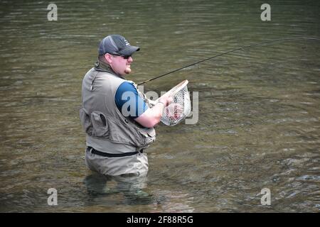 Pêche à la truite sur 'Fishing Creek', Benton, Pennsylvanie, États-Unis Banque D'Images