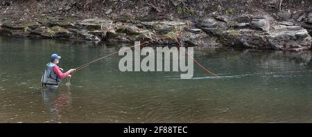 Pêche à la truite sur 'Fishing Creek', Benton, Pennsylvanie, États-Unis Banque D'Images