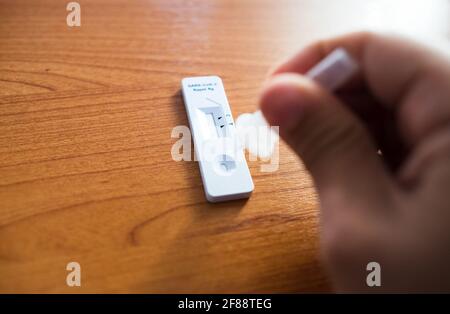 Homme effectuant un auto-test rapide pour COVID-19 Banque D'Images