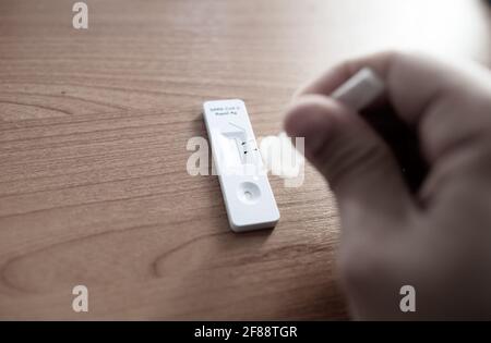 Homme effectuant un auto-test rapide pour COVID-19 Banque D'Images