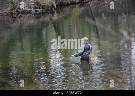 Pêche à la truite sur 'Fishing Creek', Benton, Pennsylvanie, États-Unis Banque D'Images