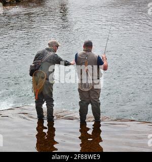 Pêche à la truite sur 'Fishing Creek', Benton, Pennsylvanie, États-Unis Banque D'Images