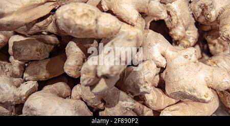 Gros plan des racines de gingembre sur le comptoir du magasin. Banque D'Images
