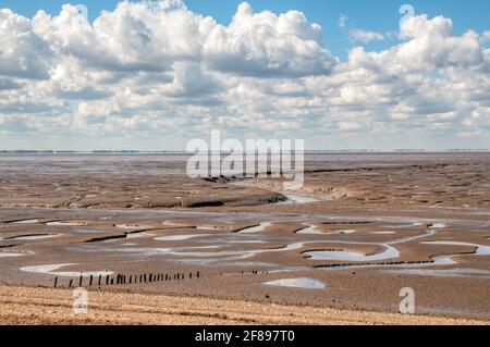 Le chemin de Wolferton Creek vers la mer à travers les vasières du Wash, près de Snettisham dans le Norfolk. Banque D'Images