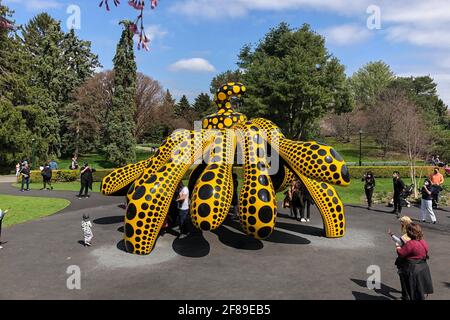 Bronx, États-Unis. 10 avril 2021. 'Dancing Pumpkin' (2020) est l'une des pièces de KUSAMA: Cosmic nature exposition par l'artiste japonais Yayoi Kusama exposé au jardin botanique de New York dans le Bronx, New York, le 10 avril 2021. L'exposition se déroule du 10 avril au 31 octobre 2021. (Photo de Samuel Rigelhaupt/Sipa USA) crédit: SIPA USA/Alay Live News Banque D'Images