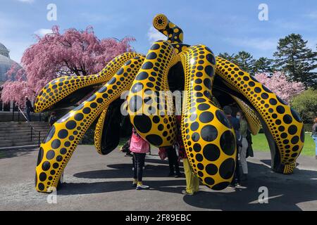 Bronx, États-Unis. 10 avril 2021. 'Dancing Pumpkin' (2020) est l'une des pièces de KUSAMA: Cosmic nature exposition par l'artiste japonais Yayoi Kusama exposé au jardin botanique de New York dans le Bronx, New York, le 10 avril 2021. L'exposition se déroule du 10 avril au 31 octobre 2021. (Photo de Samuel Rigelhaupt/Sipa USA) crédit: SIPA USA/Alay Live News Banque D'Images