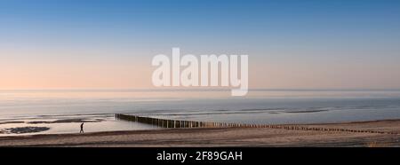 la figure solitaire se balade le long de la plage de la mer du nord en néerlandais Province de Zélande sous ciel bleu au printemps Banque D'Images