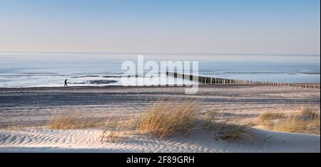 la figure solitaire se balade le long de la plage de la mer du nord en néerlandais Province de Zélande sous ciel bleu au printemps Banque D'Images