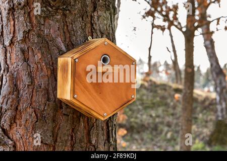 Maison pour la nidification des abeilles bourdes sur un jardin de printemps. Insecte hôtel ou maison dans un environnement de jardin. Nid de ruche en bois abri de maison en bois fait par l'homme Banque D'Images