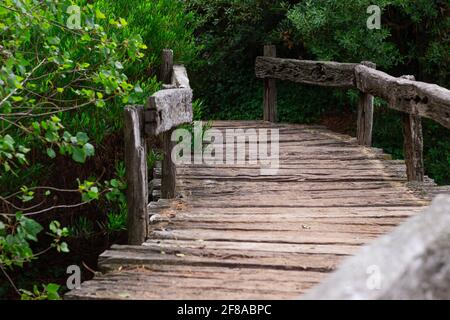 Petit pont en bois dans la forêt. Banque D'Images