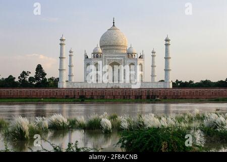 Taj Mahal au crépuscule de l'autre côté de la rivière avec des fleurs et des plantes, à Agra, Inde Banque D'Images