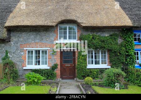 Cottage en pierre avec toit de chaume avec Ivy à Adare, Irlande Banque D'Images