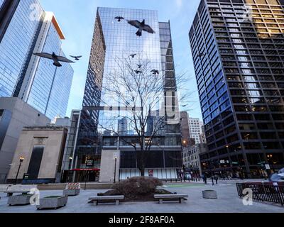 Daley Plaza Chicago. Pigeons en vol. Banque D'Images