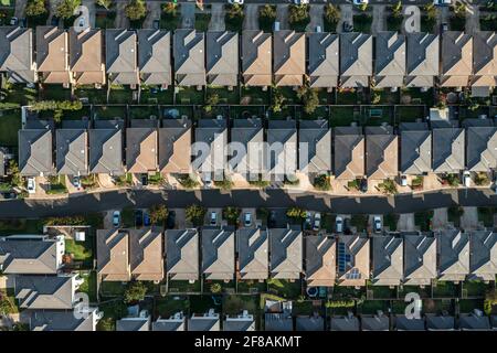 Vue aérienne de dessus en bas des maisons fortement remplies en rangées avec des voies d'accès et des cours arrière. Sydney, Australie. Banque D'Images