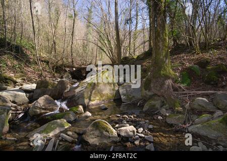 rochers dans le ruisseau . Couler l'eau courante au début du printemps Banque D'Images