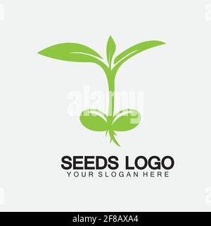 Modèle de concept de logo de semences Vector.growing logo de semences.vecteur de croissance de semences modèle d'illustration du logo Illustration de Vecteur