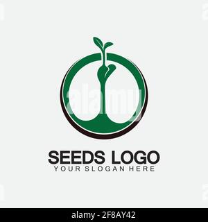 Modèle de concept de logo de semences Vector.growing logo de semences.vecteur de croissance de semences modèle d'illustration du logo Illustration de Vecteur