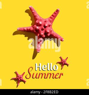 Peinture d'été avec étoiles de mer avec ombre dure. Banque D'Images