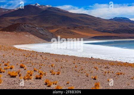 Tuyajto Salt Flats and Lagoon, haut sur l'altiplano dans le désert d'Atacama, dans la région d'Antofagasta, au nord du Chili, en Amérique du Sud. Banque D'Images