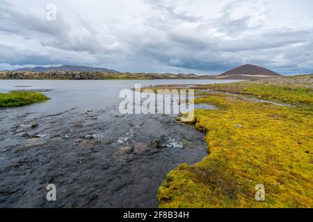 Zones humides du sud de l'Islande par jour nuageux. Le paysage volcanique s'mouille au printemps. Couleurs jaunes. Banque D'Images