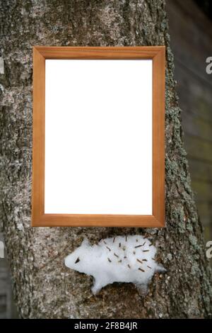 Approche créative des enfants. Les enfants ont coincé une figure de neige d'un hérisson sur un arbre (comme un relief élevé). Cadre en bois Banque D'Images