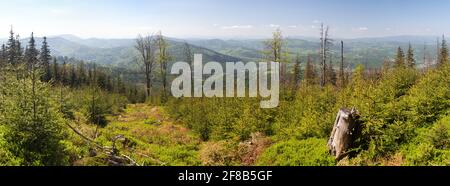 Vue de Babia Gora ou Babí Hora vers la Slovaquie - Pologne et la frontière slovaque, Oravske Beskydy Banque D'Images